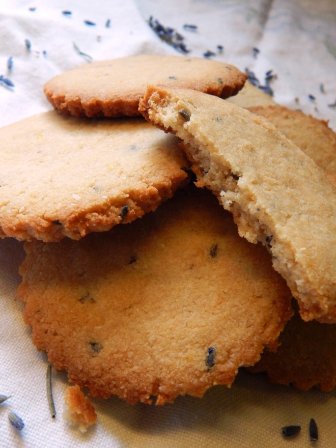 Lavender Sugar Cookie