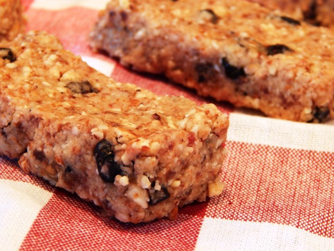 Raw Blueberry Energy Bars