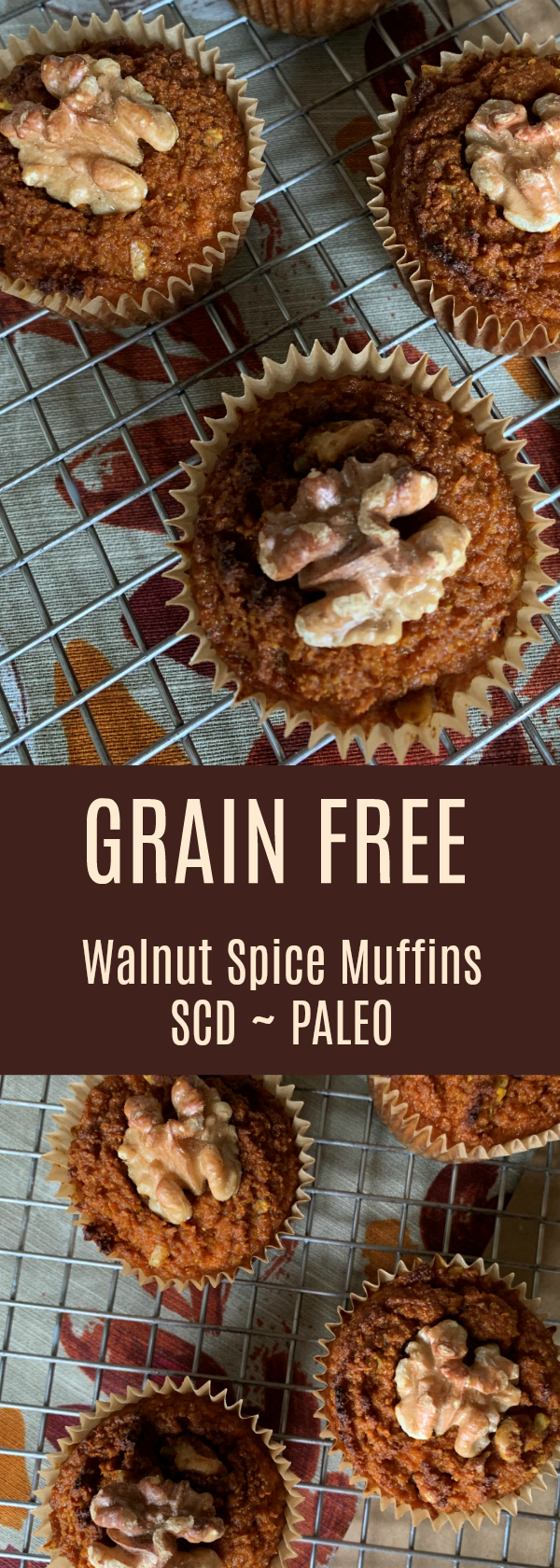 Grain Free Walnut Spice Muffins - SCD, Paleo, Dairy Free