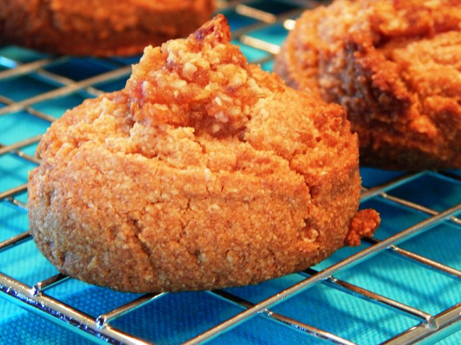 Cinnamon Date Thumbprint Cookies