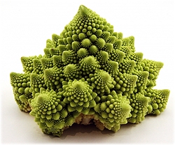 romanesco