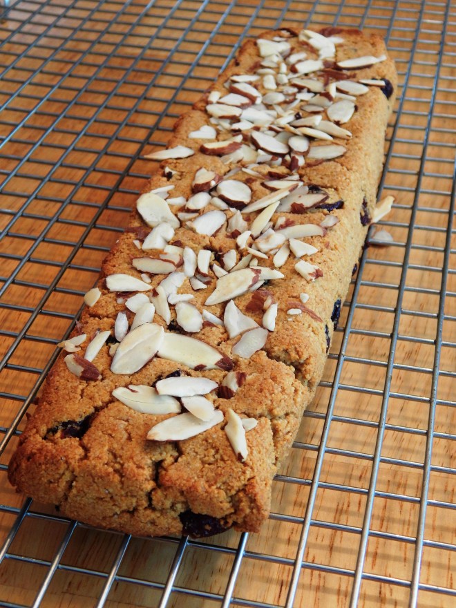 Cranberry Pumpkin BIscotti Loaf