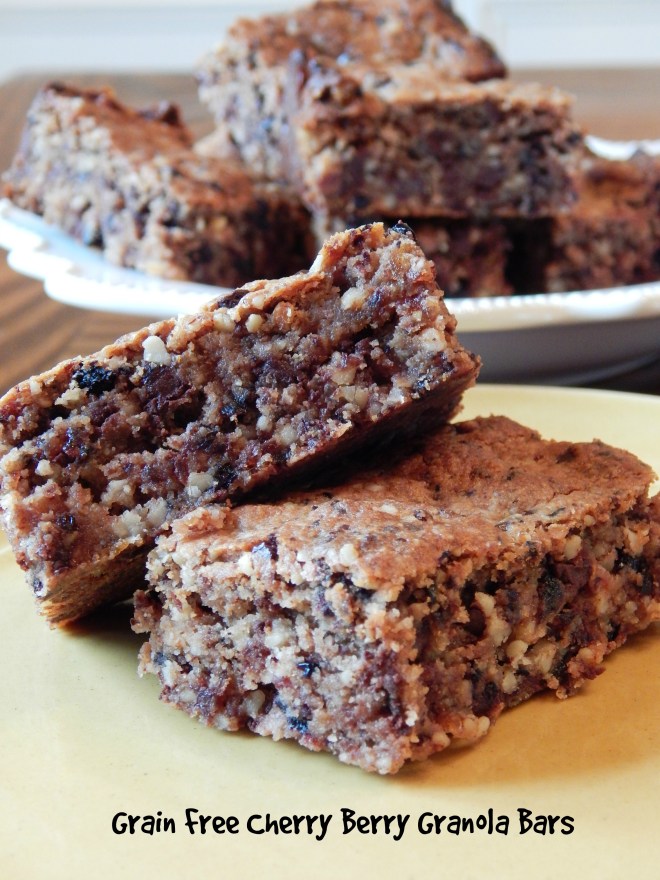 Grain Free Cherry Berry Granola Bars