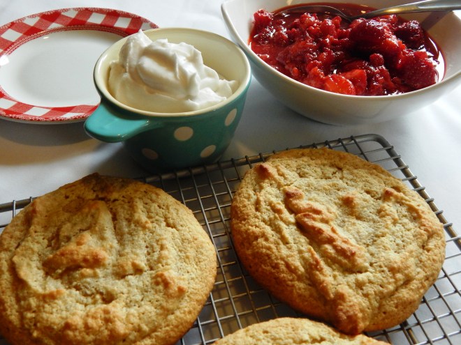 Summertime Paleo Strawberry Shortcakes Ready to Assemble