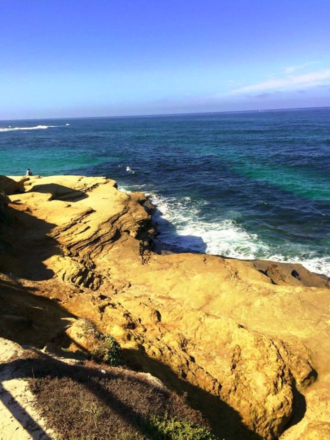 12079693_1139001529446754_4742822986375353196_n