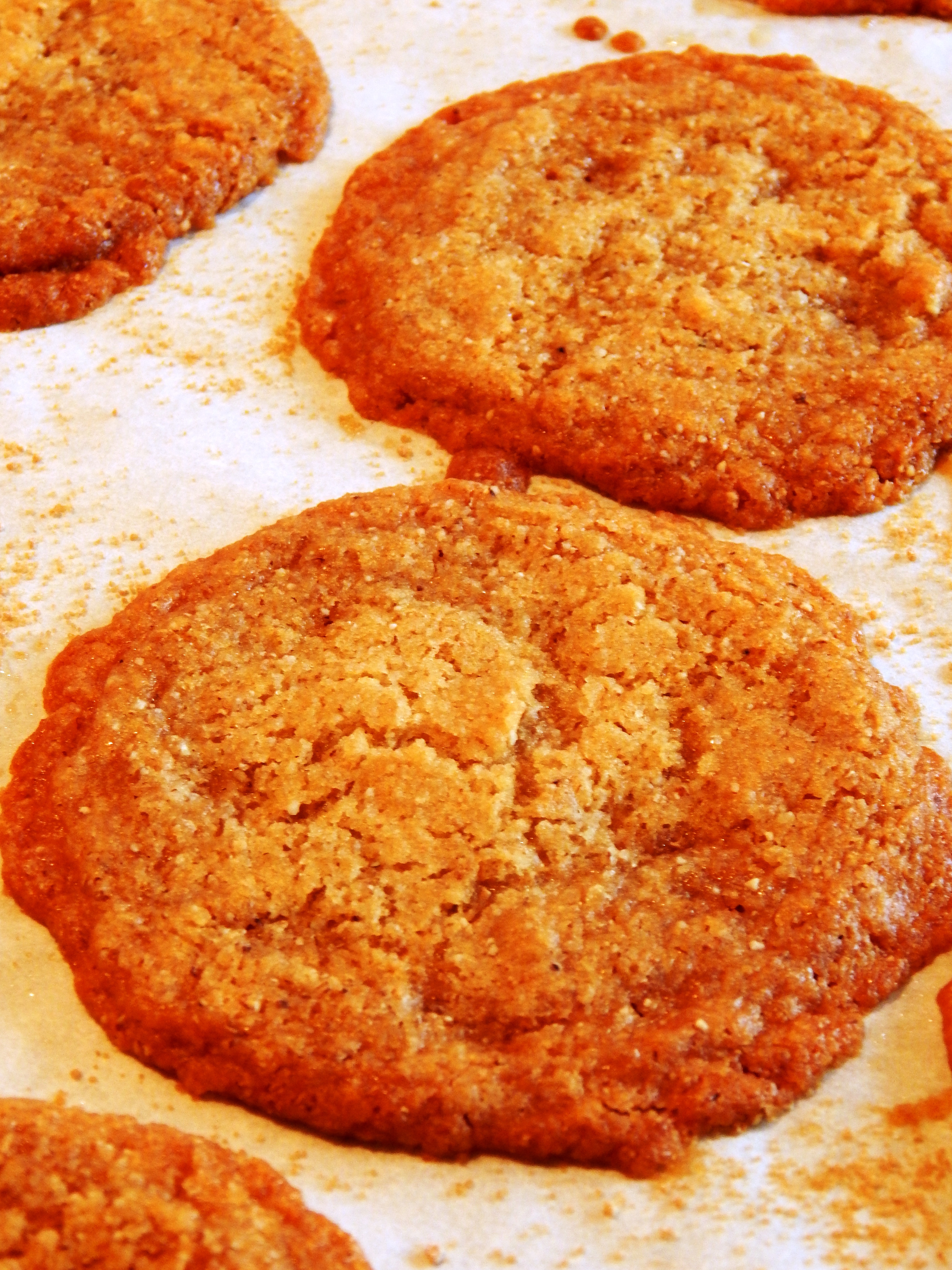 Thin and Chewy Maple Sugar Cookies on Baking Tray