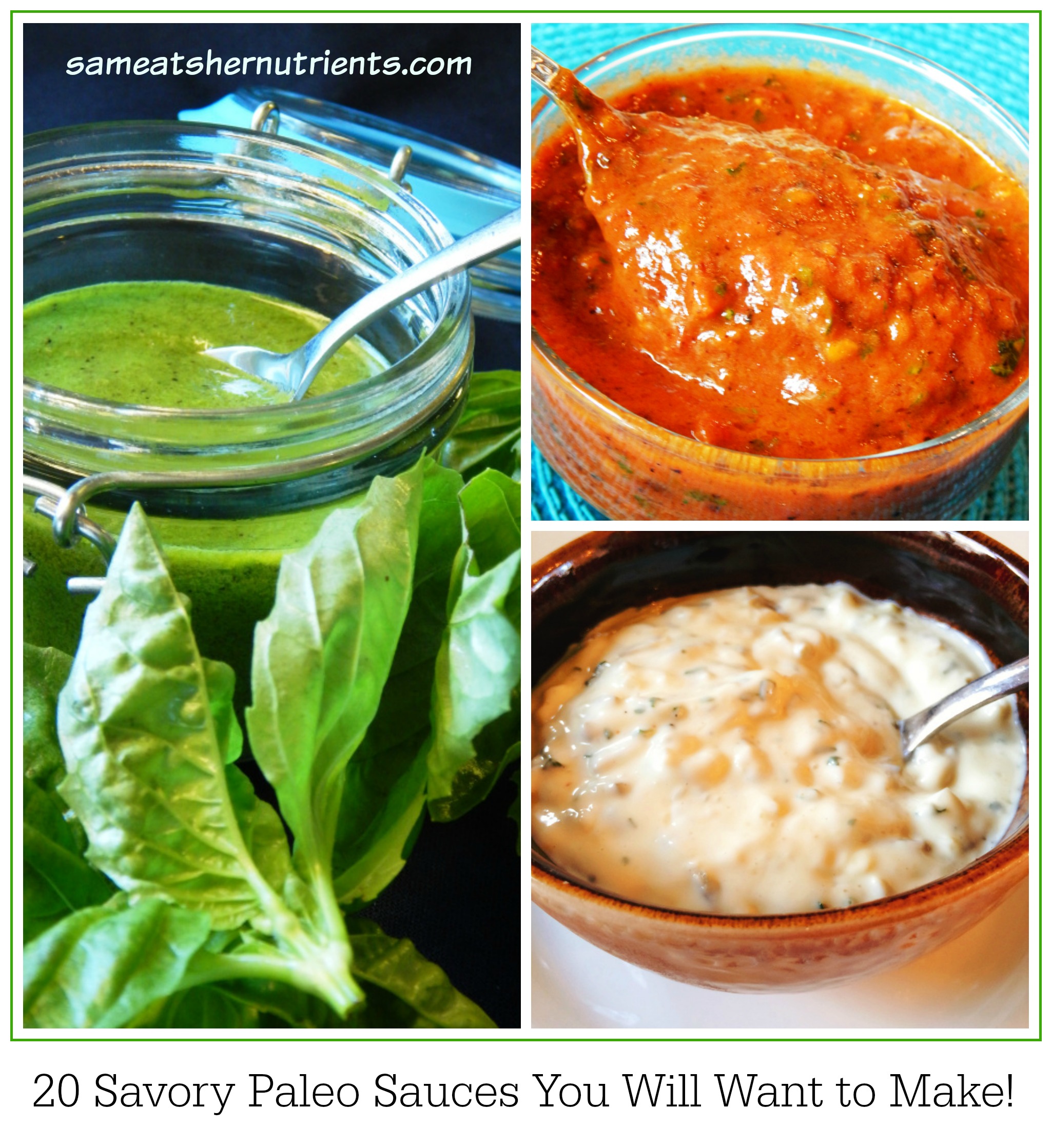 20 Savory Paleo Sauces You Will Want to Make!