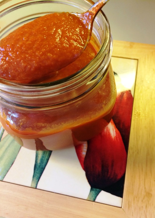 Delicious Low FodMap Taco Sauce