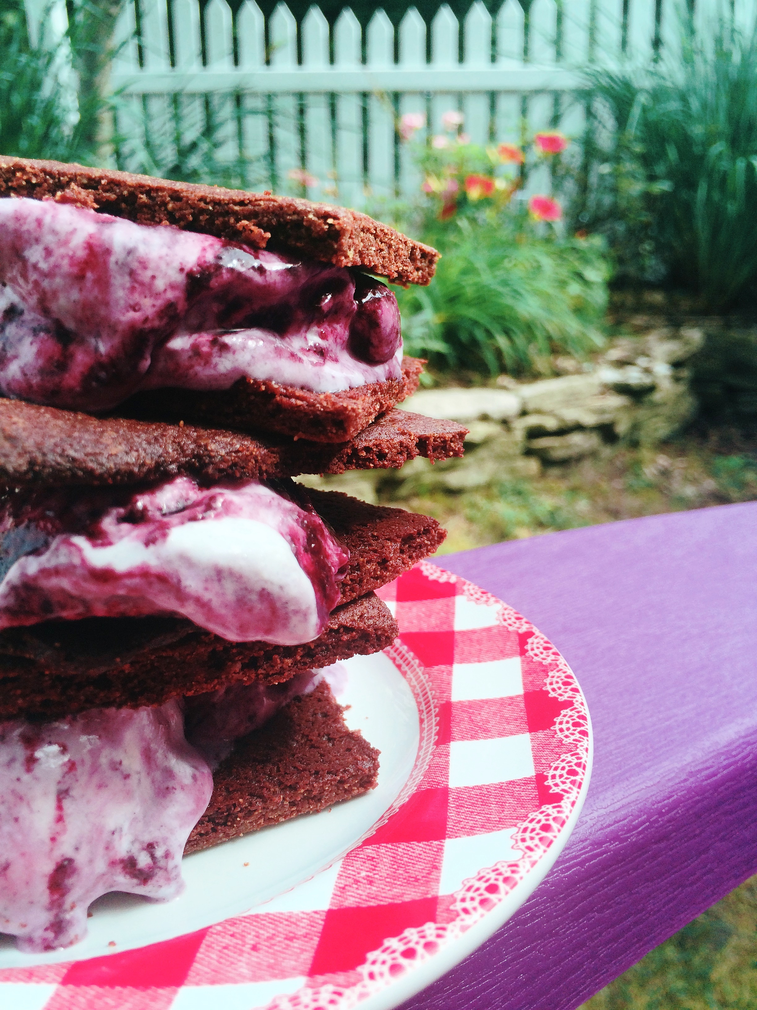 Chocolate Blueberry Ripple Ice Cream Sandwiches