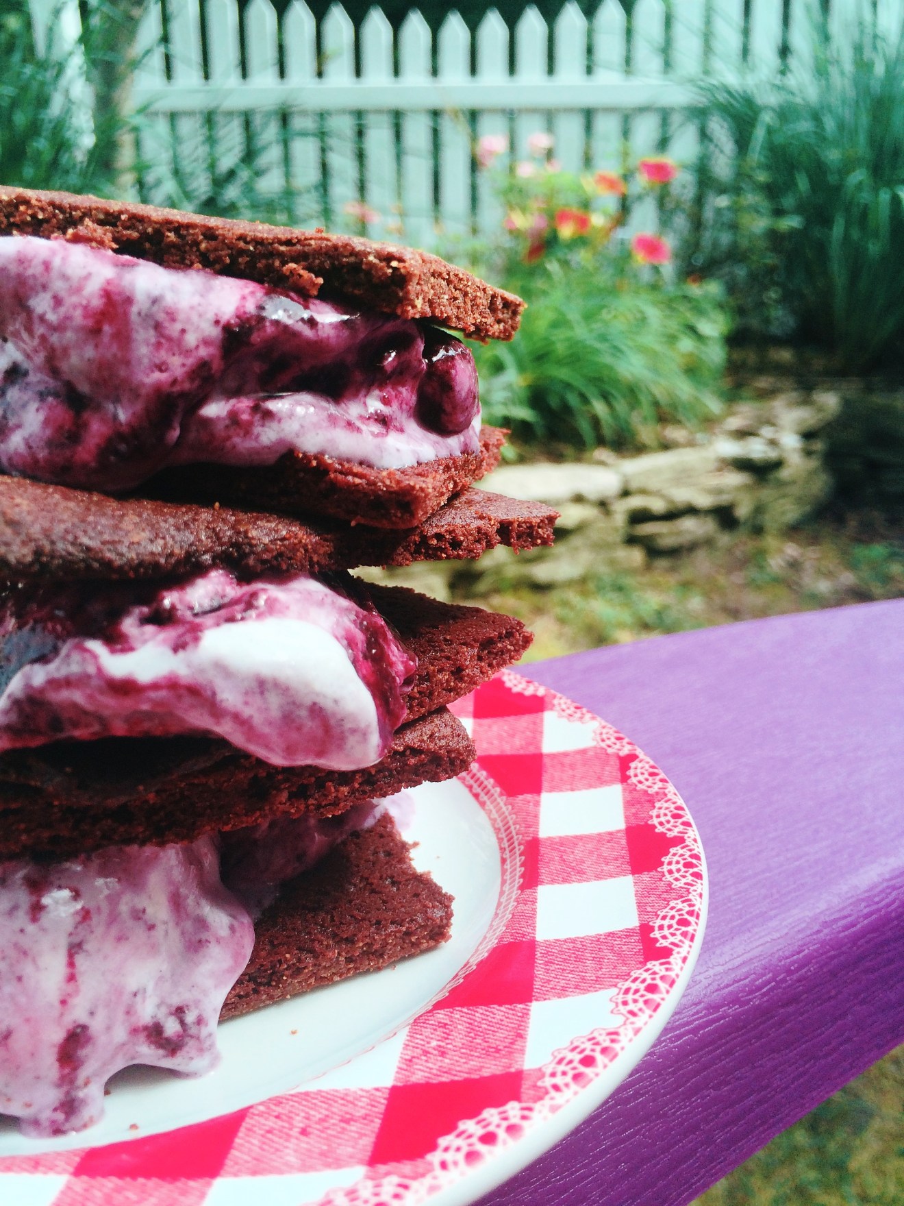 Chocolate Blueberry Ripple Ice Cream Sandwiches (Grain Free) | Sam Eats ...