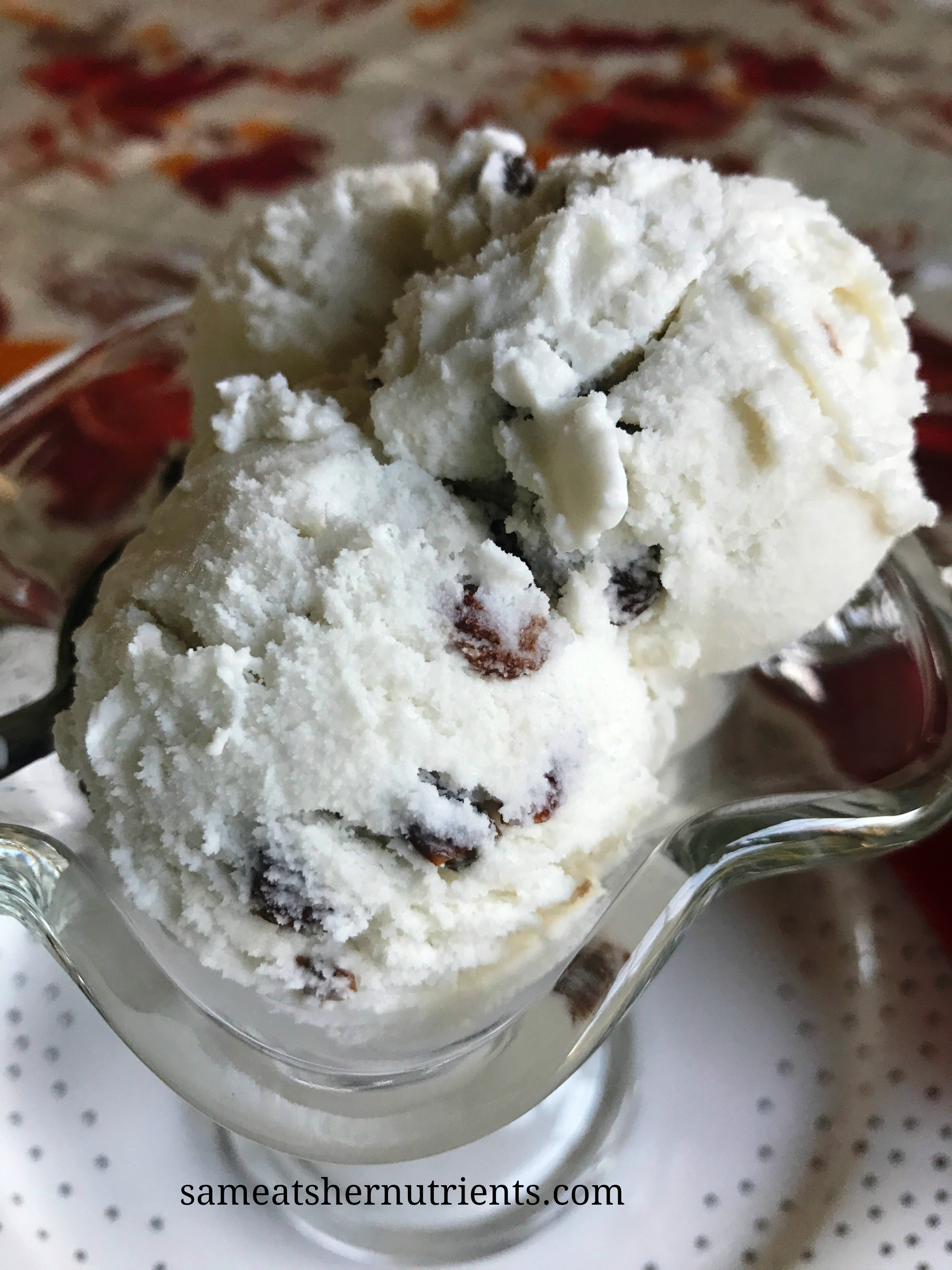 Rum Raisin Ice Cream (Dairy Free)