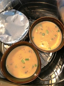 egg-custards-in-the-instant-pot