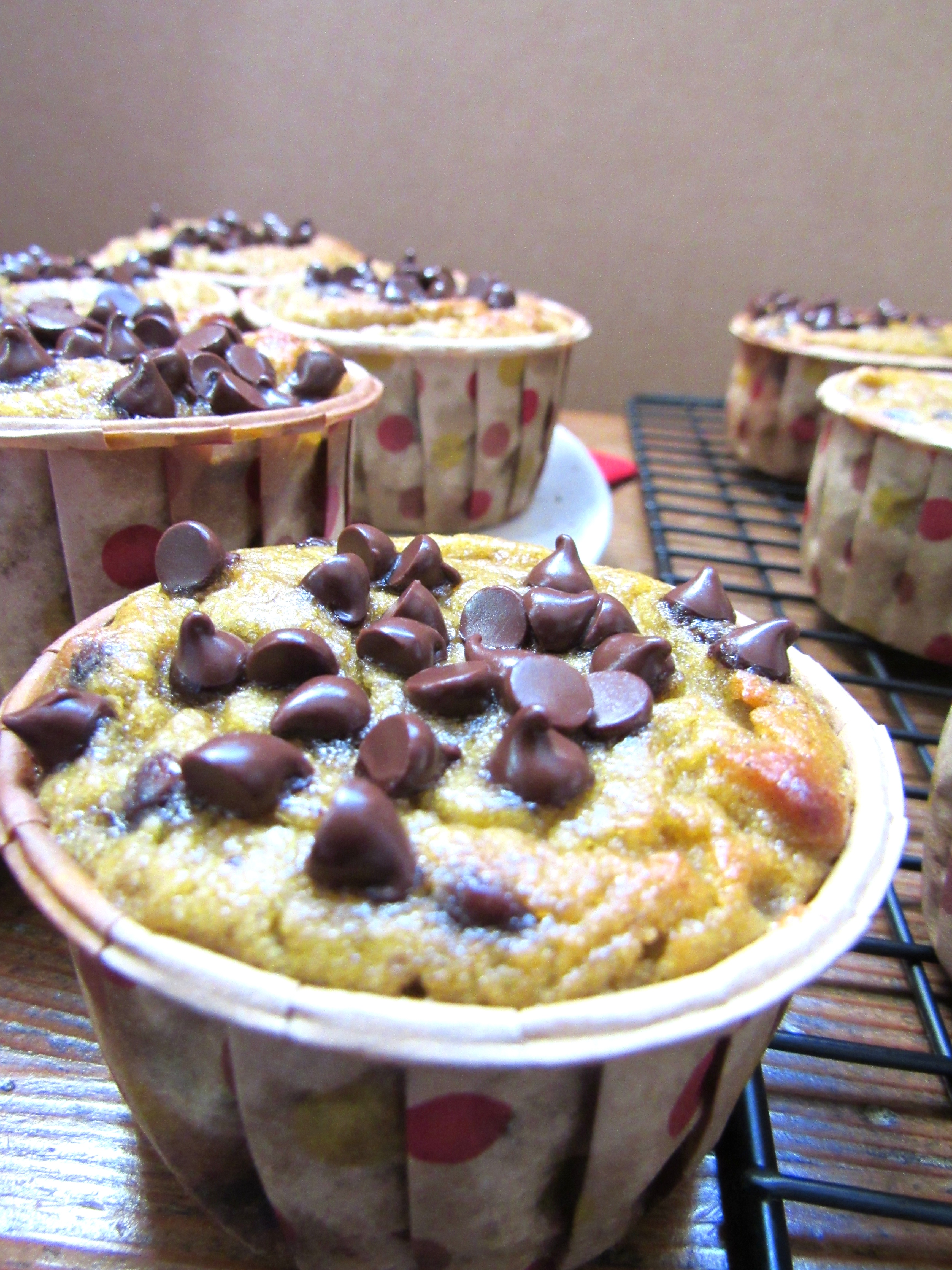 Grain Free Chocolate Chip Banana Muffins