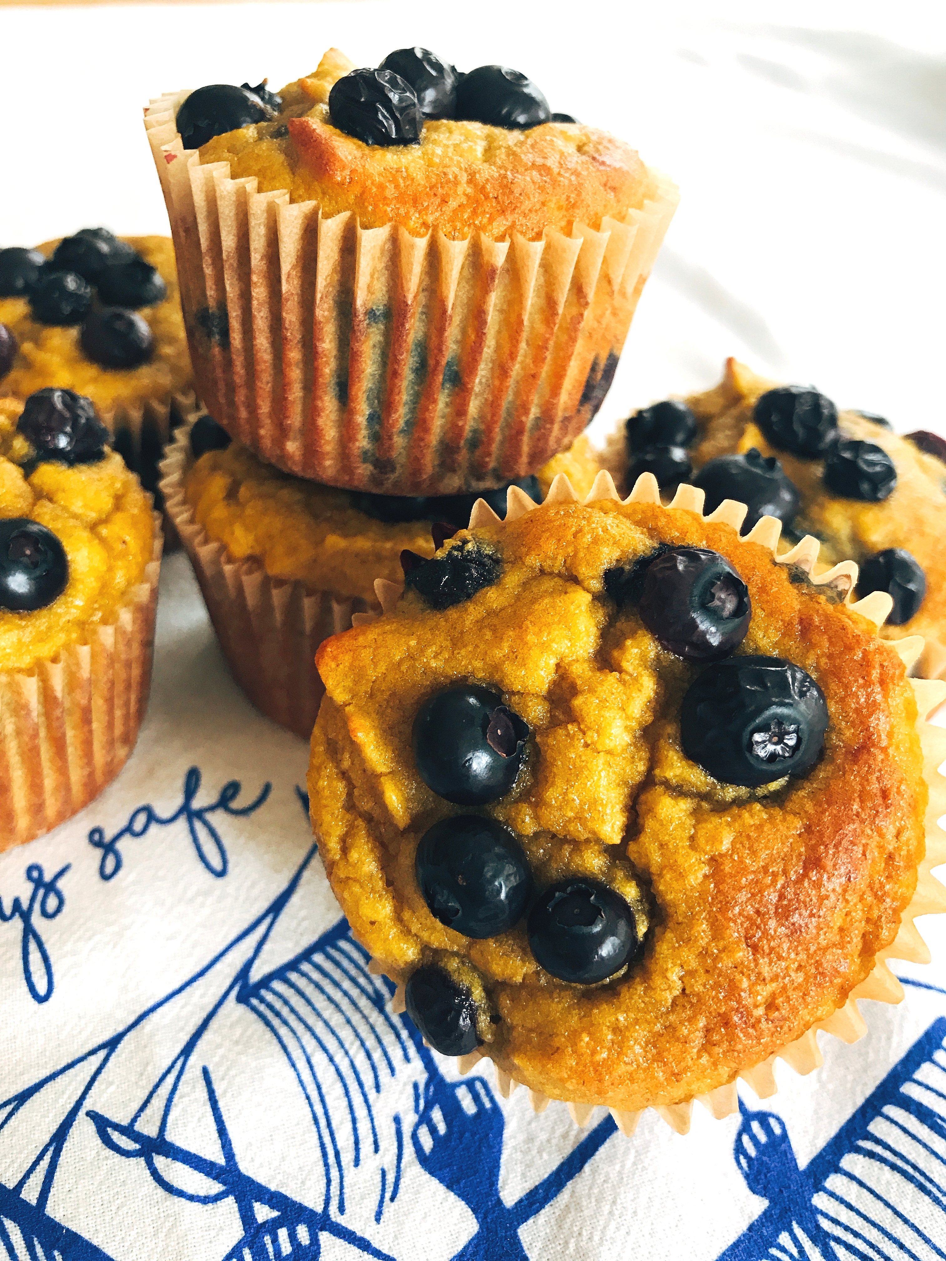 Gluten Free Coconut Flour Blueberry Muffins