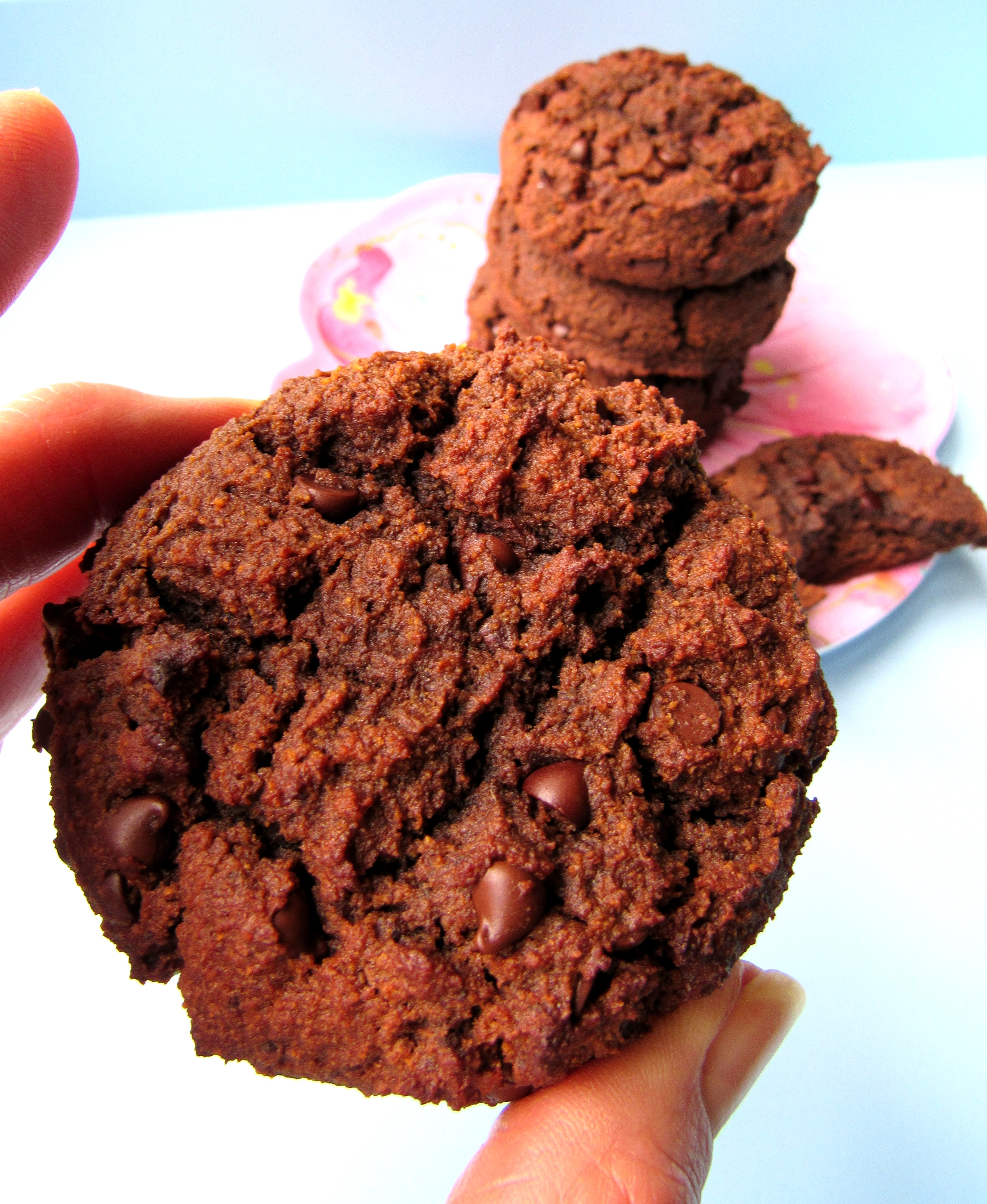 Double Chocolate Cookies - Coconut Flour Baking