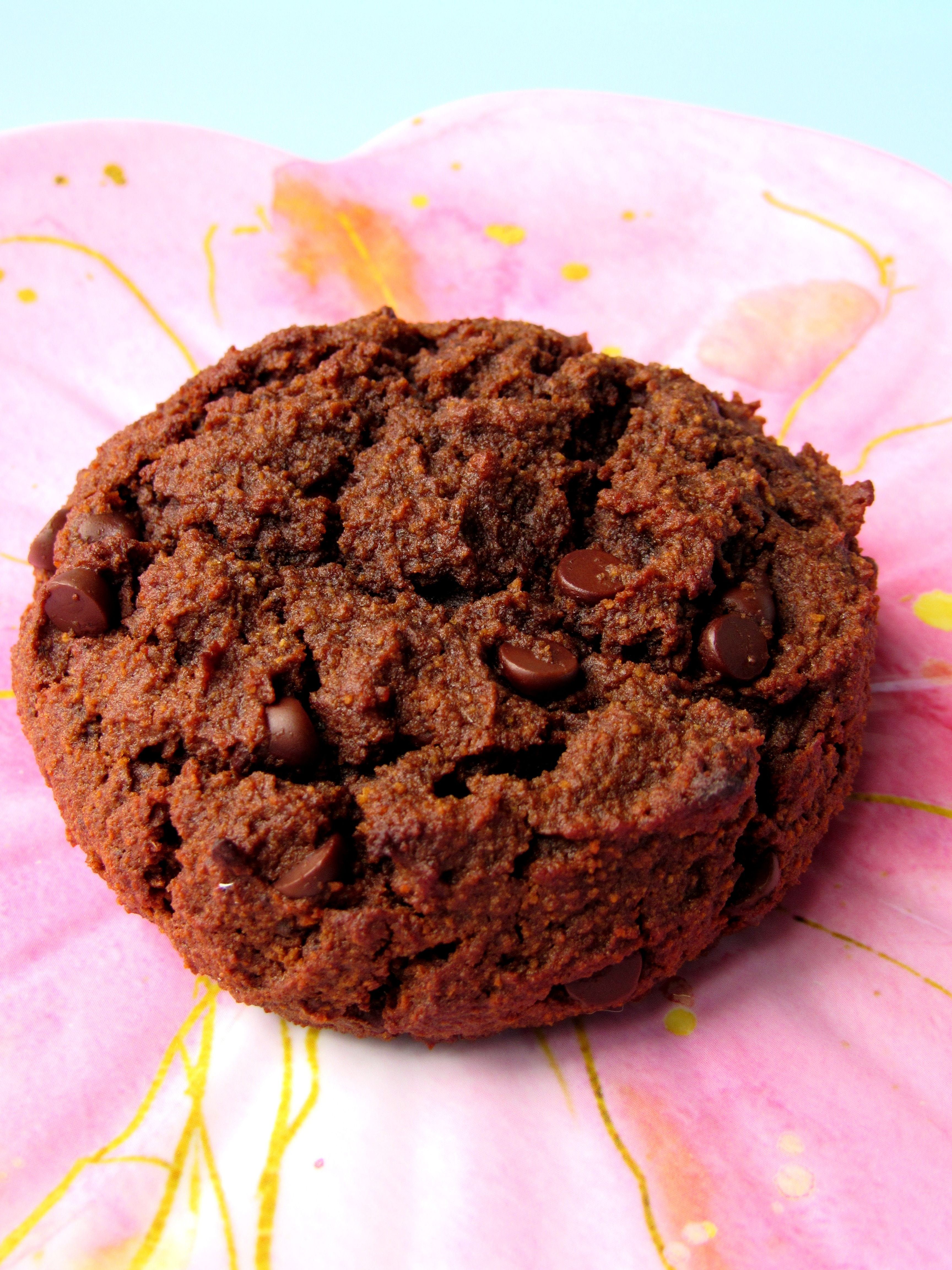 Double Chocolate Cookies Grain Free and Yummy
