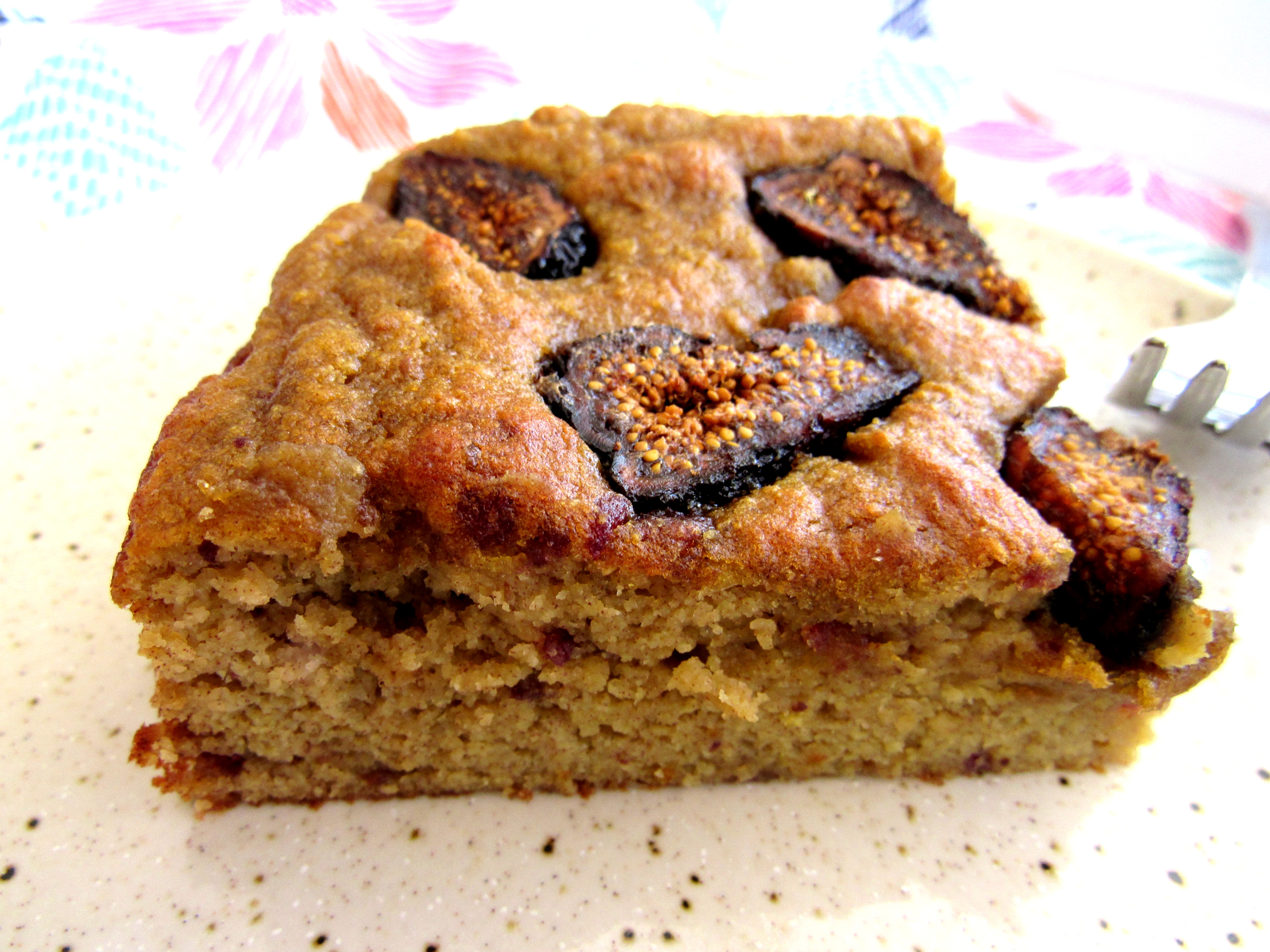 Lemon Fig Cake (Coconut Flour)