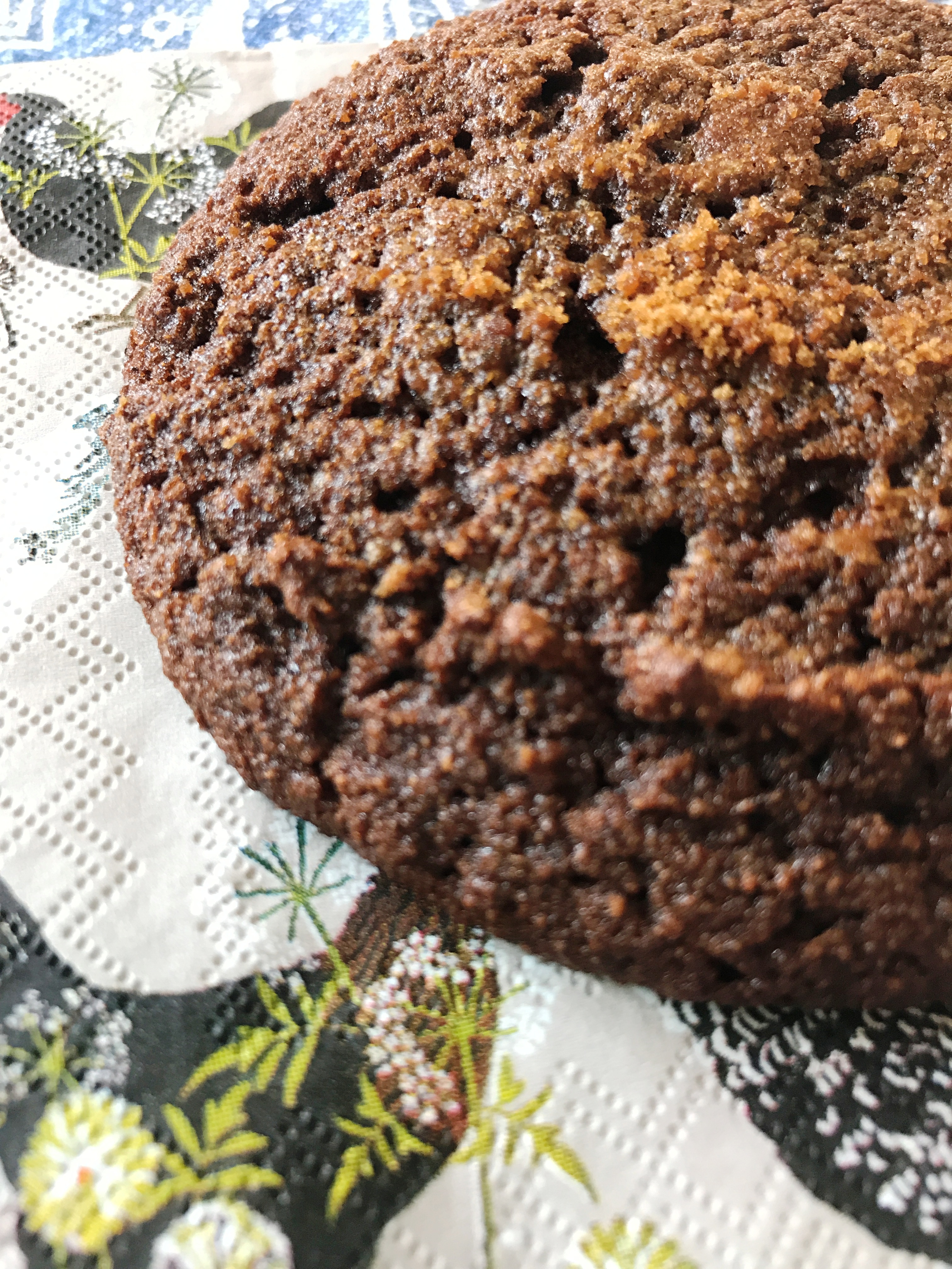 Farmhouse Jumbo Molasses Cookies - Gluten Free