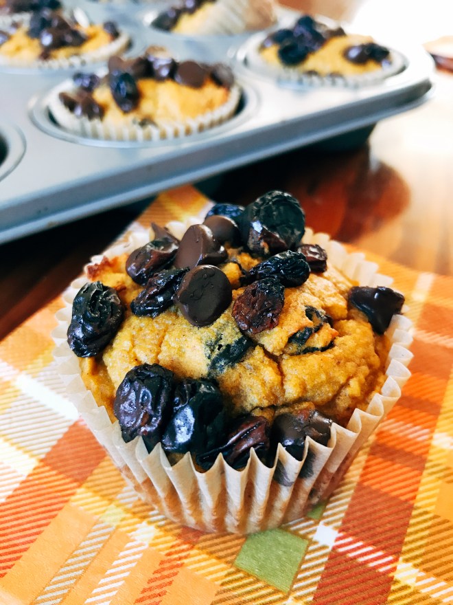 Pumpkin Spice Muffins with Chocolate Chips and Raisins - Grain Free
