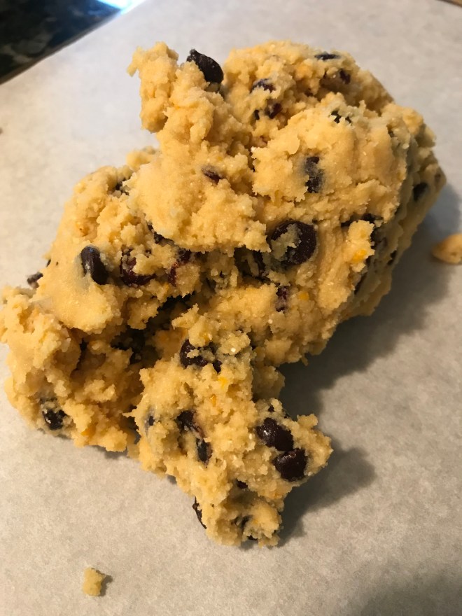 Chocolate Chip Cranberry Orange Biscotti Dough
