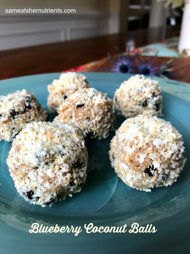 Coconut Blueberry Balls - Healthy Snacking - Grain Free