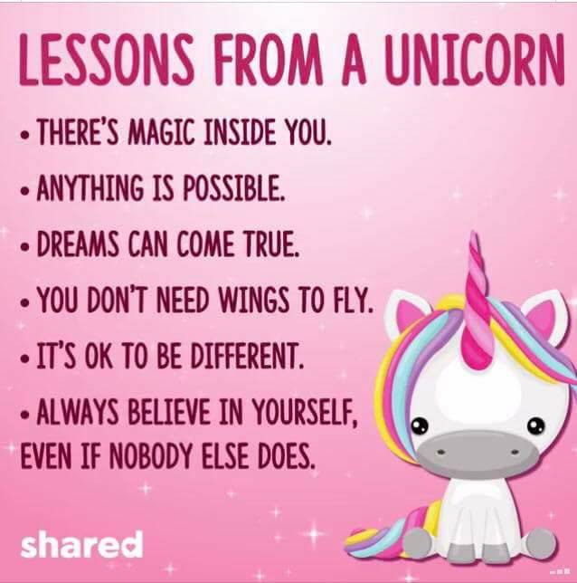 Lessons from a Unicorn