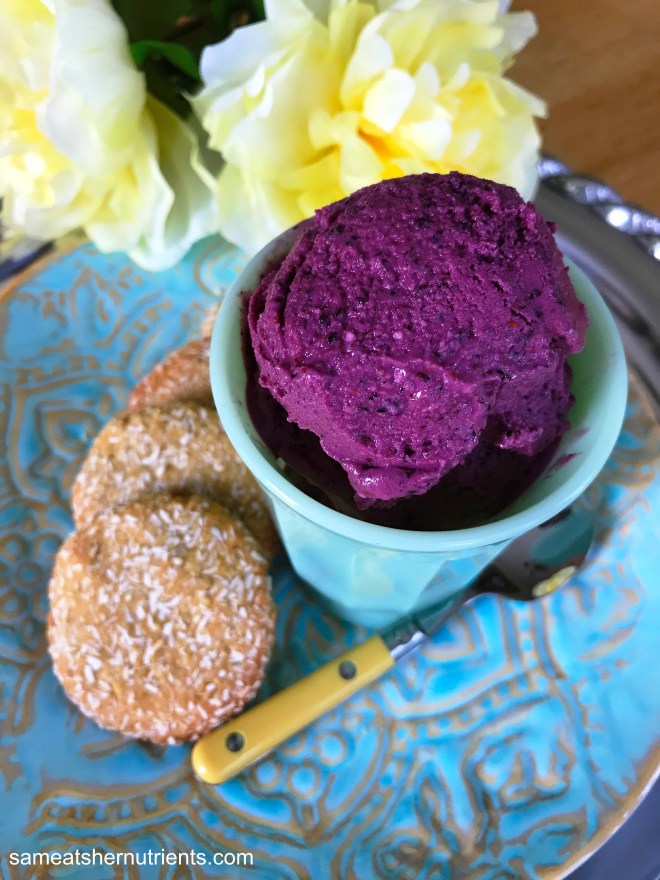 Blueberry Lemon FroYo