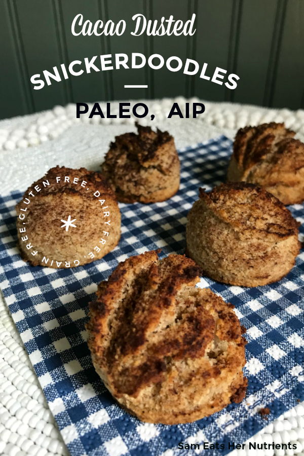 Cacao Dusted Paleo AIP Snickerdoodles
