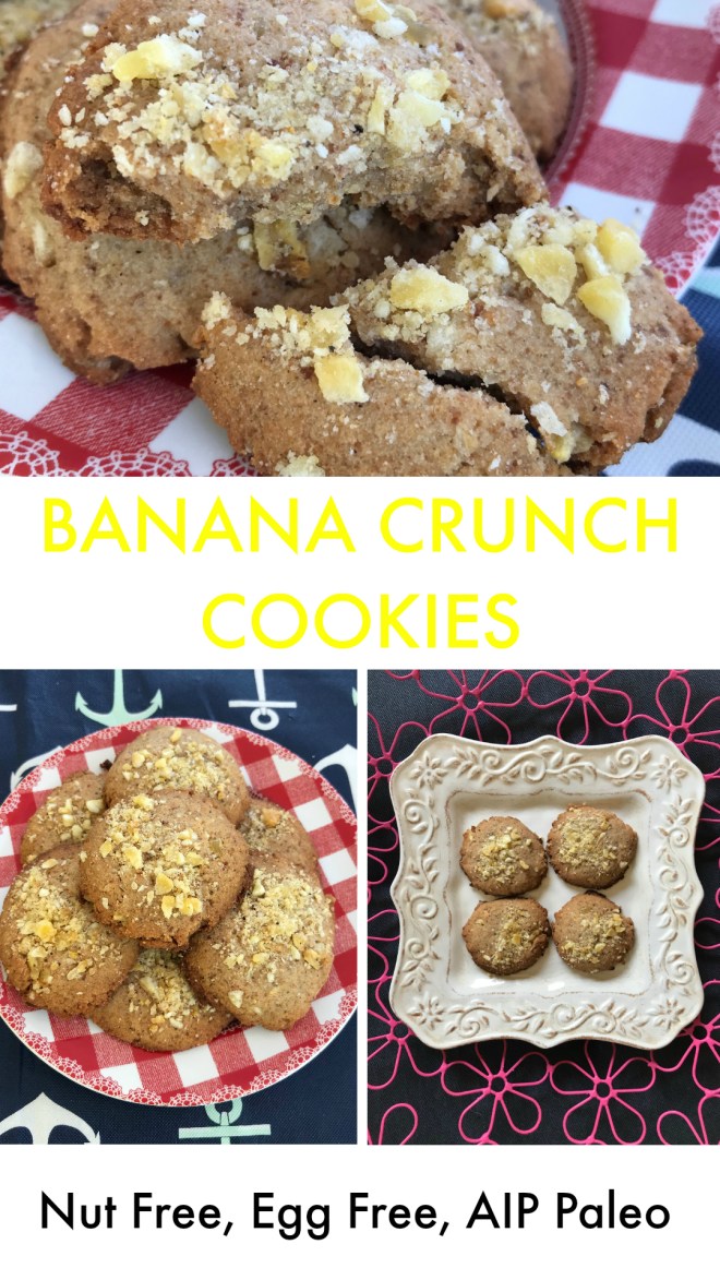 Banana Crunch Cookies - Nut Free, Egg Free, Dairy Free, AIP Paleo