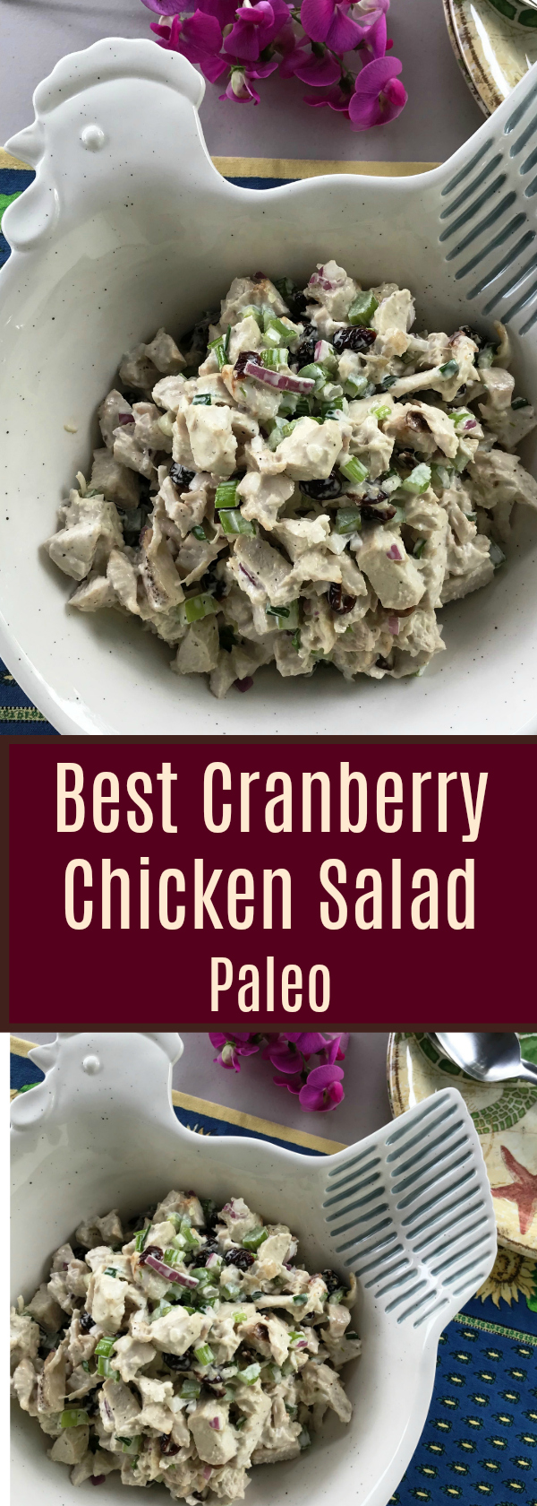 Best Cranberry Chicken Salad Healthy and Delish
