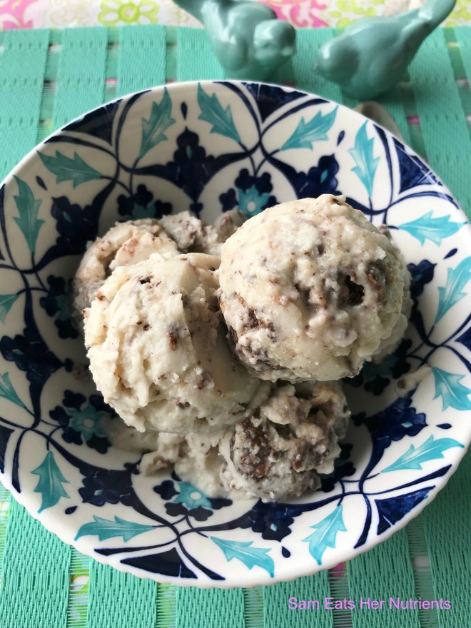 Toasted Coconut and Dark Chocolate Dairy Free Ice Cream Gluten Free