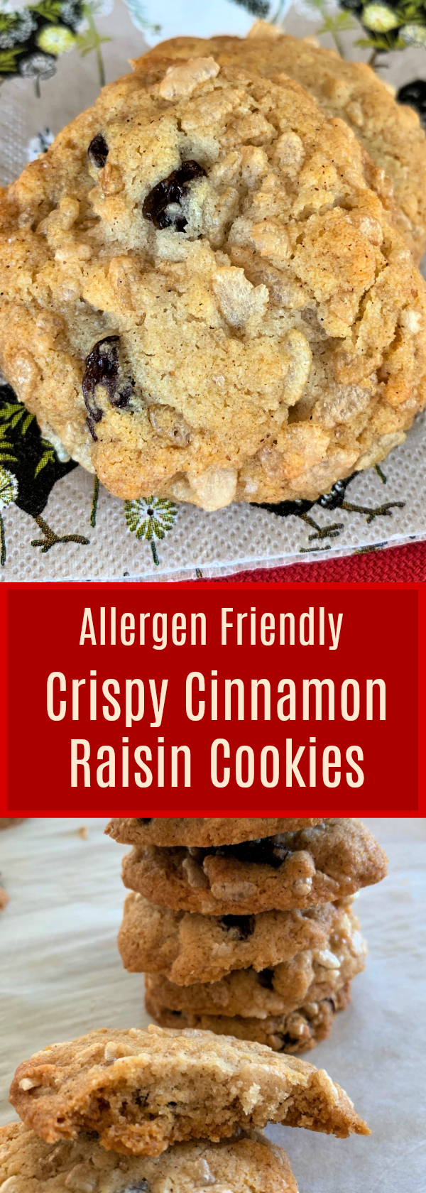 Allergen Friendly, Chewy and Crispy Cookies!