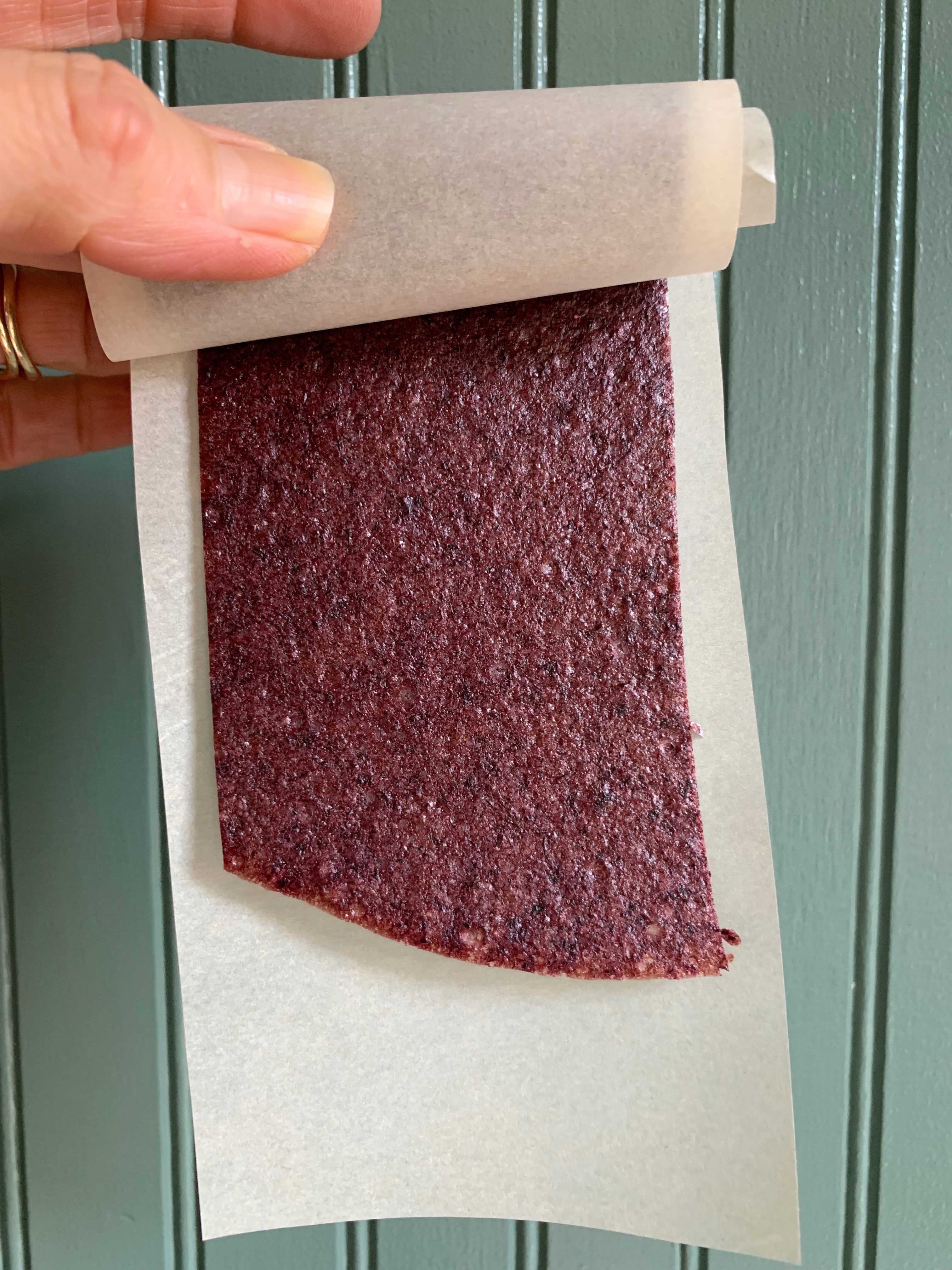 Blueberry Pineapple Fruit Roll Ups