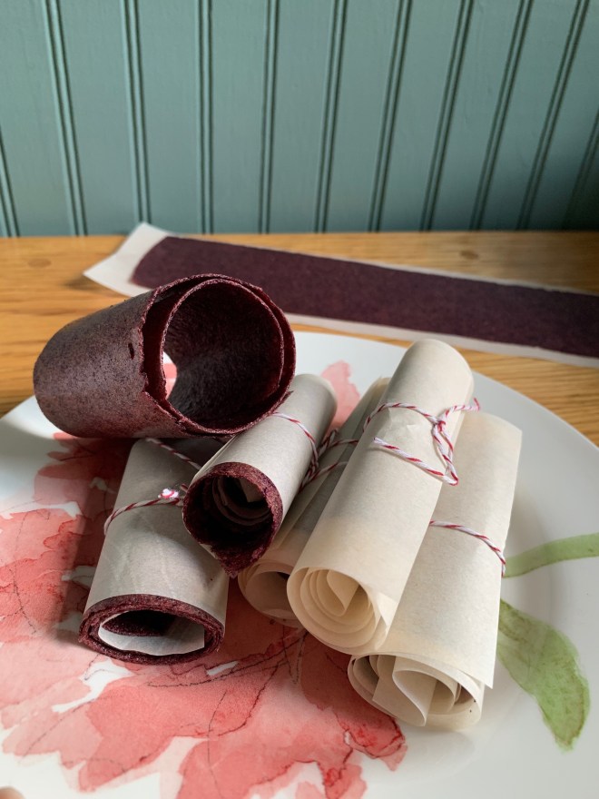 DIY Blueberry Pineapple Fruit Roll Ups