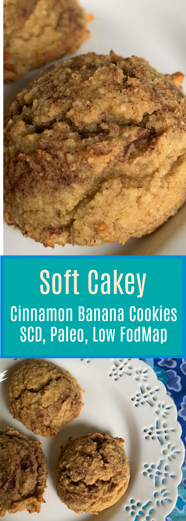 Soft Cakey Cinnamon Banana Cookies, Grain Free, SCD Diet, Paleo, Dairy Free, Low FodMap. Gluten Free