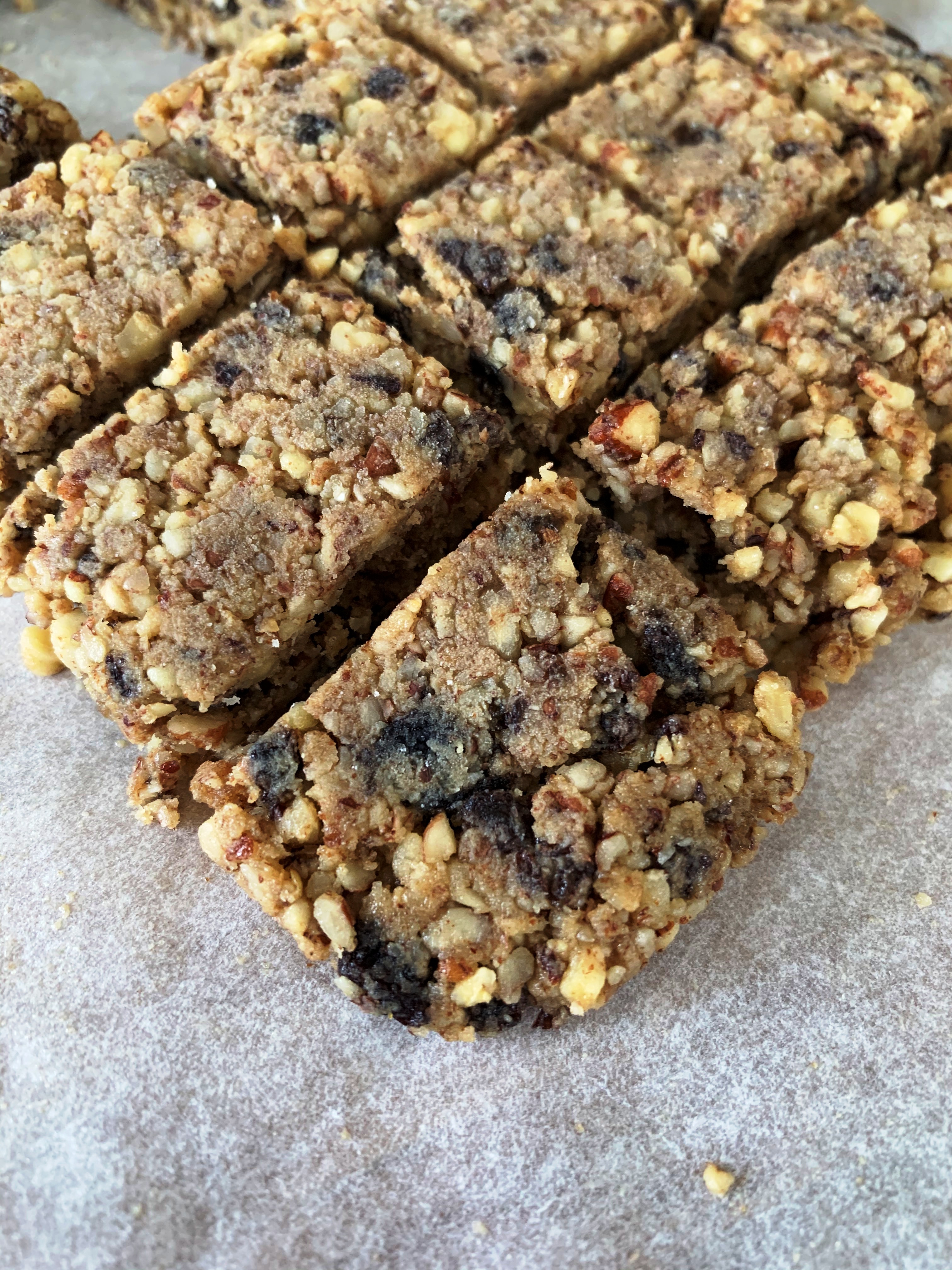 Fruit and Nut Bites 6